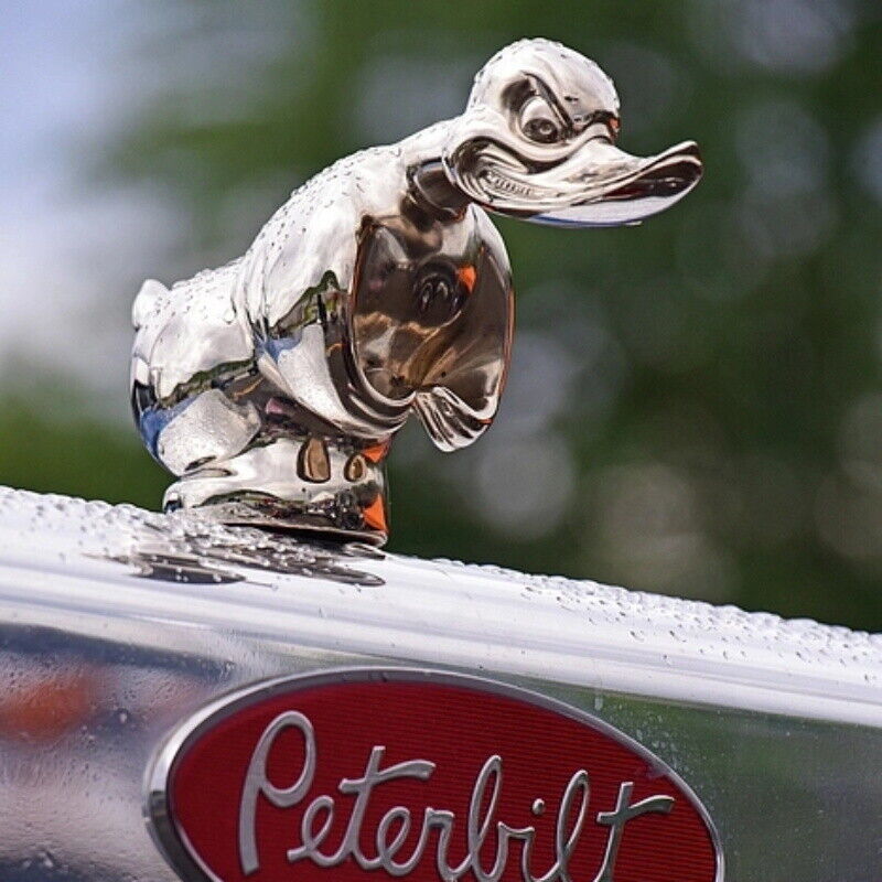 ที่คลุมหน้ารถเป็ดโกรธเครื่องปร - Art Craft Duck บทวิจารณ์และราคา