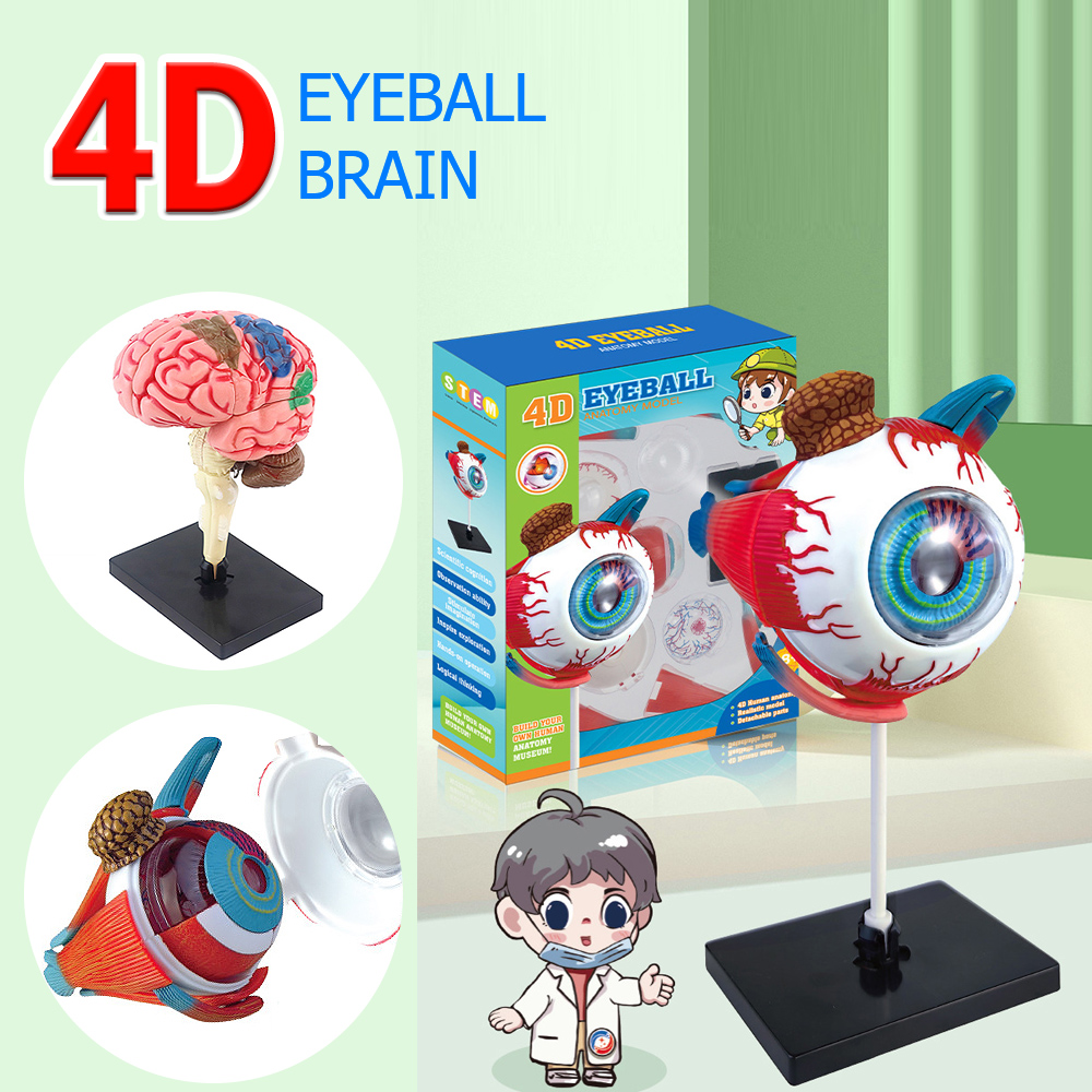 งานหัตถกรรมศิลปะ Ornaments4D ล - Art And Craft Science บทวิจารณ์และราคา