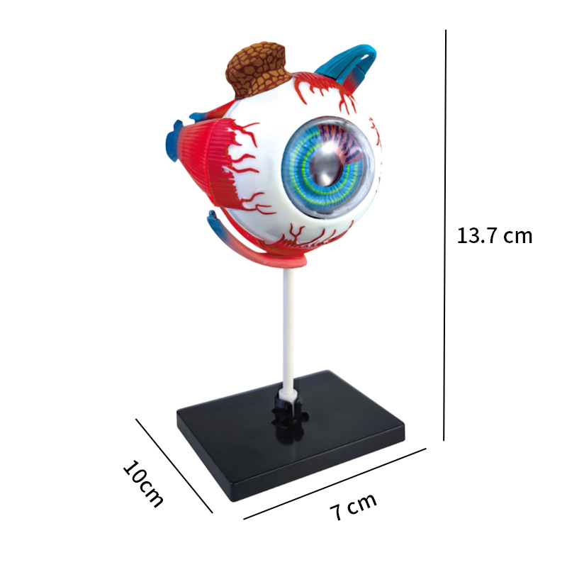 งานหัตถกรรมศิลปะ Ornaments4D ล - Art And Craft Science บทวิจารณ์และราคา