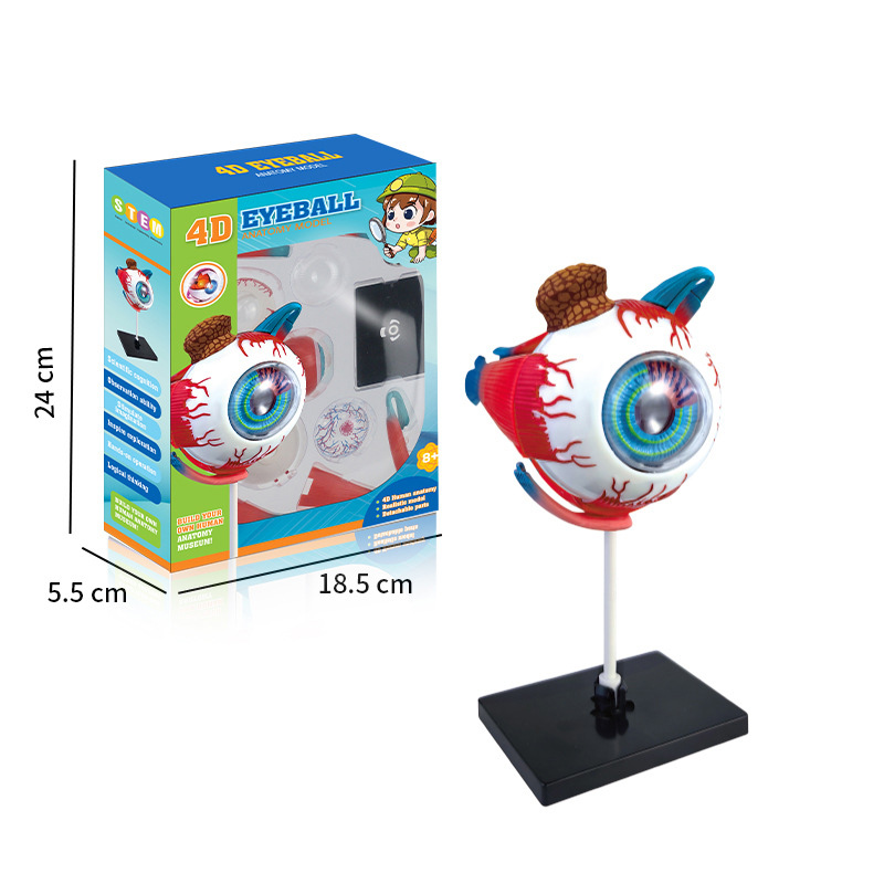 งานหัตถกรรมศิลปะ Ornaments4D ล - Art And Craft Science บทวิจารณ์และราคา